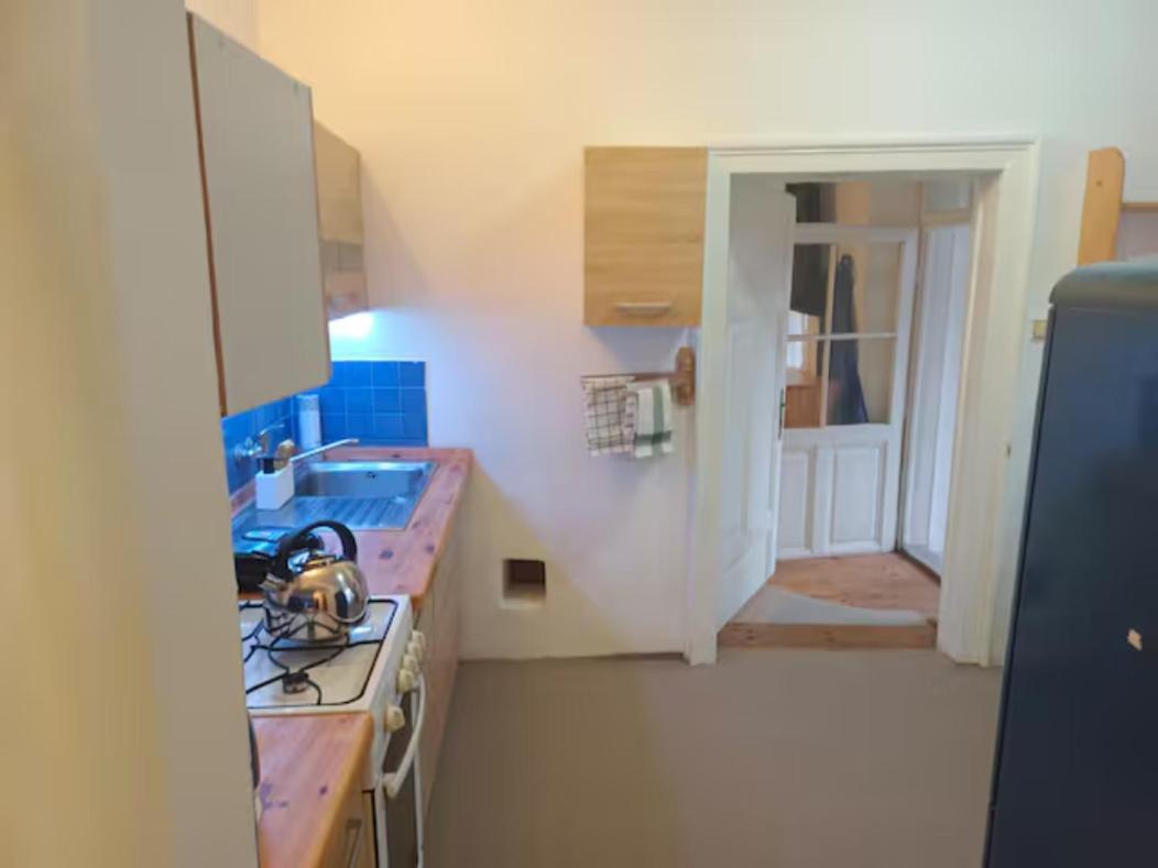 Byt S Terasou A Zahradou Brno Exteriör bild
